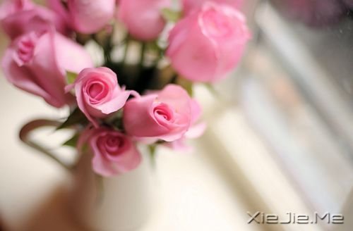 一生应该去追求的十样东西